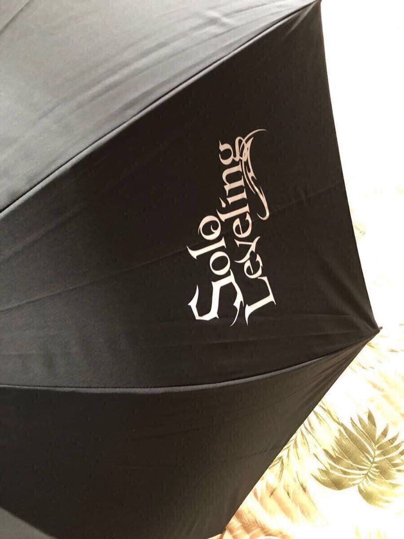 当選人数30名 俺だけレベルアップな件 傘 ソロレベリング