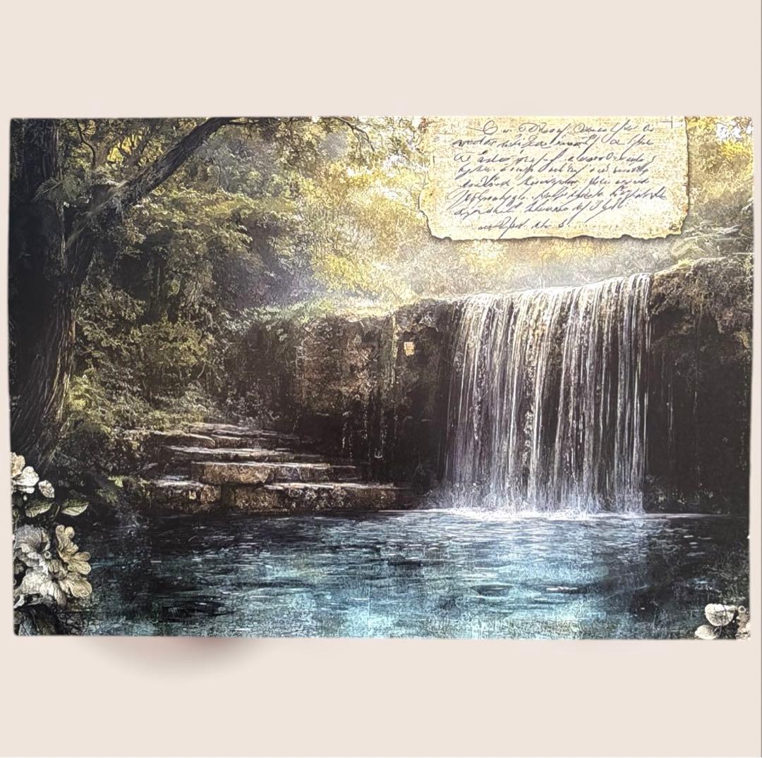 ma-20】 MALAMA様 デザインペーパー