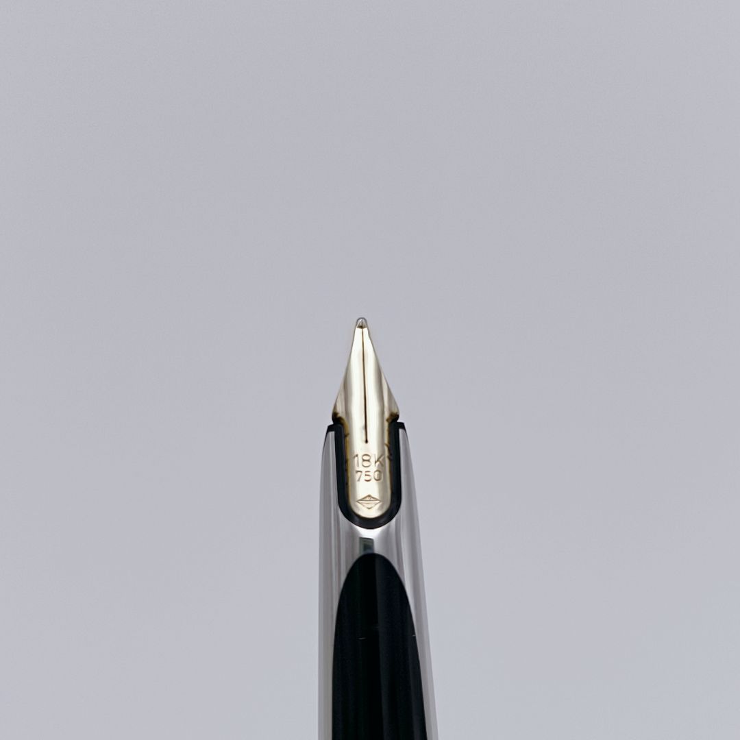 万年筆 WATERMAN C/F シルバーモアレ 18k ウォーターマン