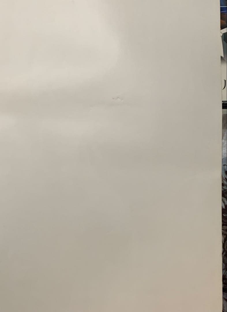 【B1・シミヤケ痛みあり】 ヴァンパイア アーケード用 ポスター