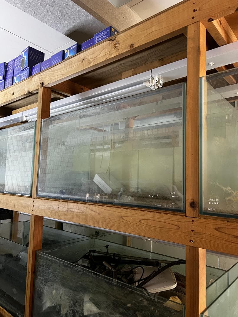 大きめ ガラス水槽 使用済品 中古 汚れあり 引き取り限定 埼玉 四角 四角い