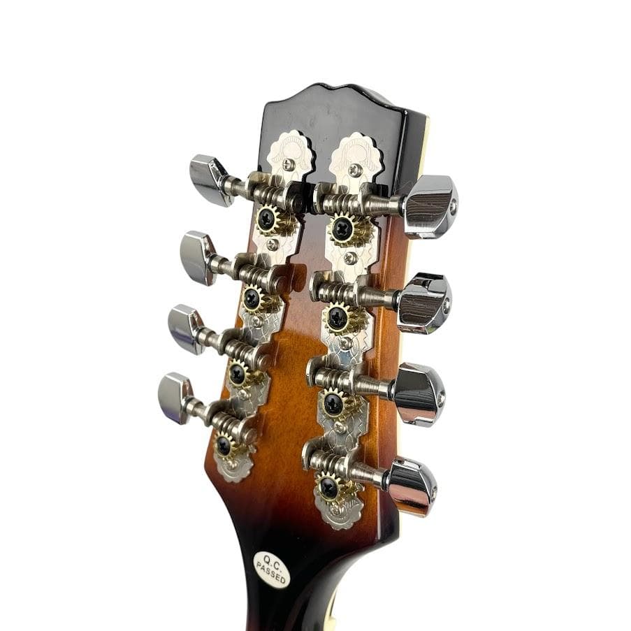 極美品●Donner● マンドリン DML-1 専用ケース付 サンバースト