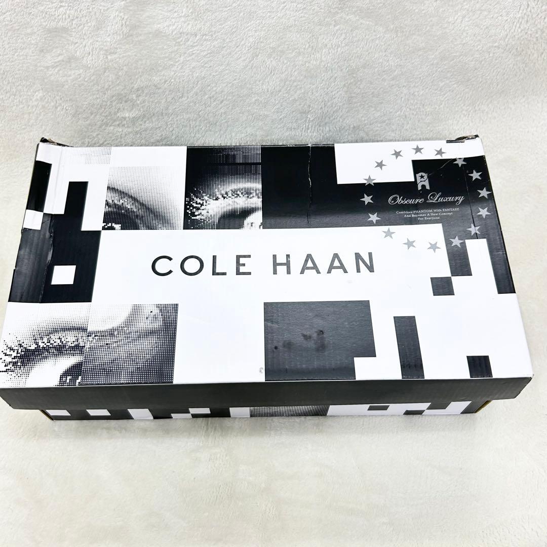 ✨未使用級極美品✨コールハーン×ファンタシー　存在感抜群　黒　26.5cm 軽量