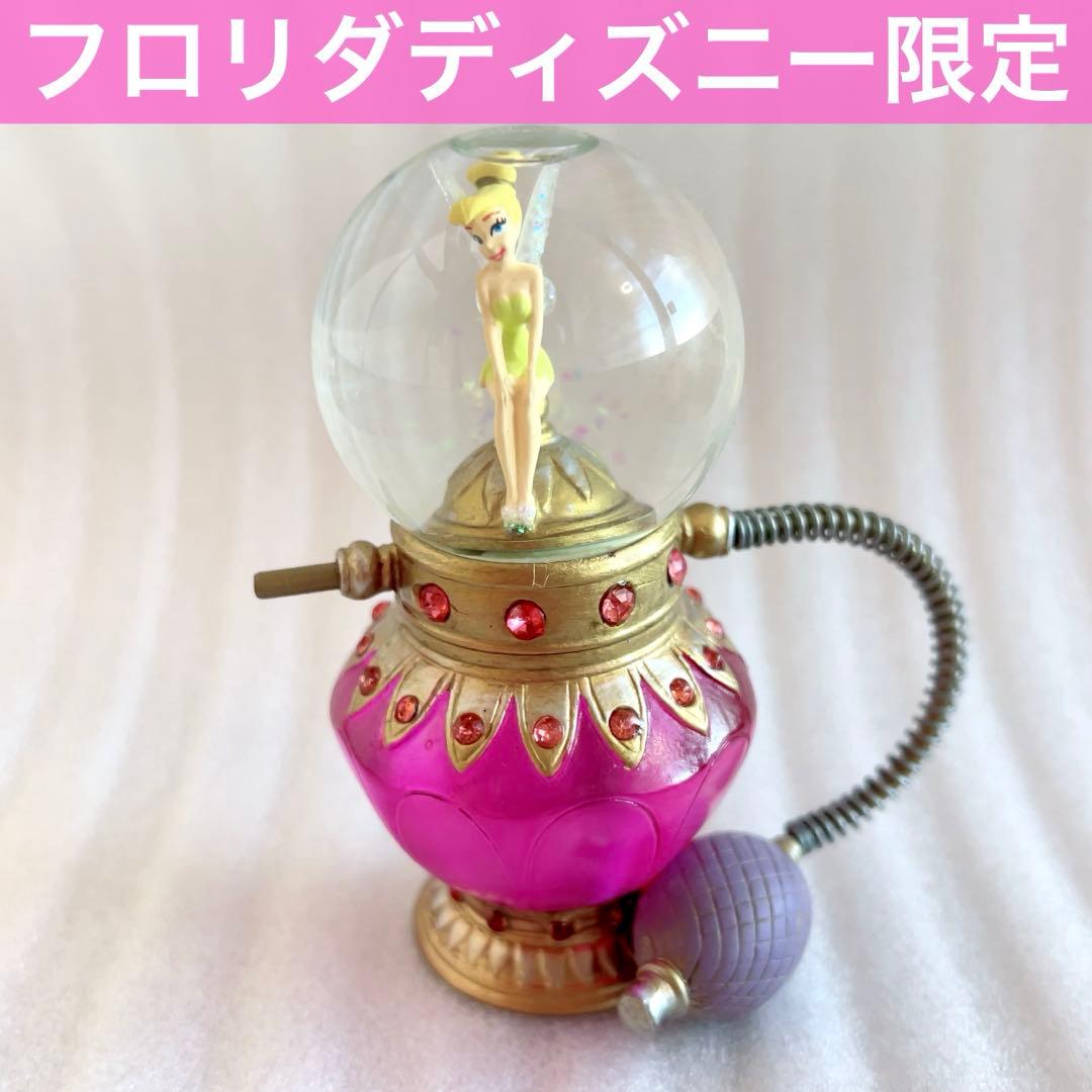 蝶標本 フルニェルミイロタテハ 単品