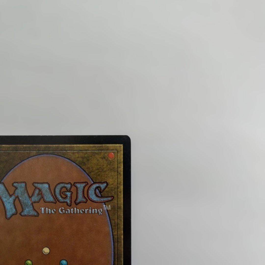欲深きドラゴン FOIL 日本語　マジックザギャザリング　MTG