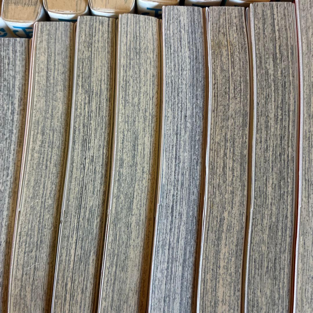 ONE PIECE 全巻セット １巻〜１１３巻 （初版多数）