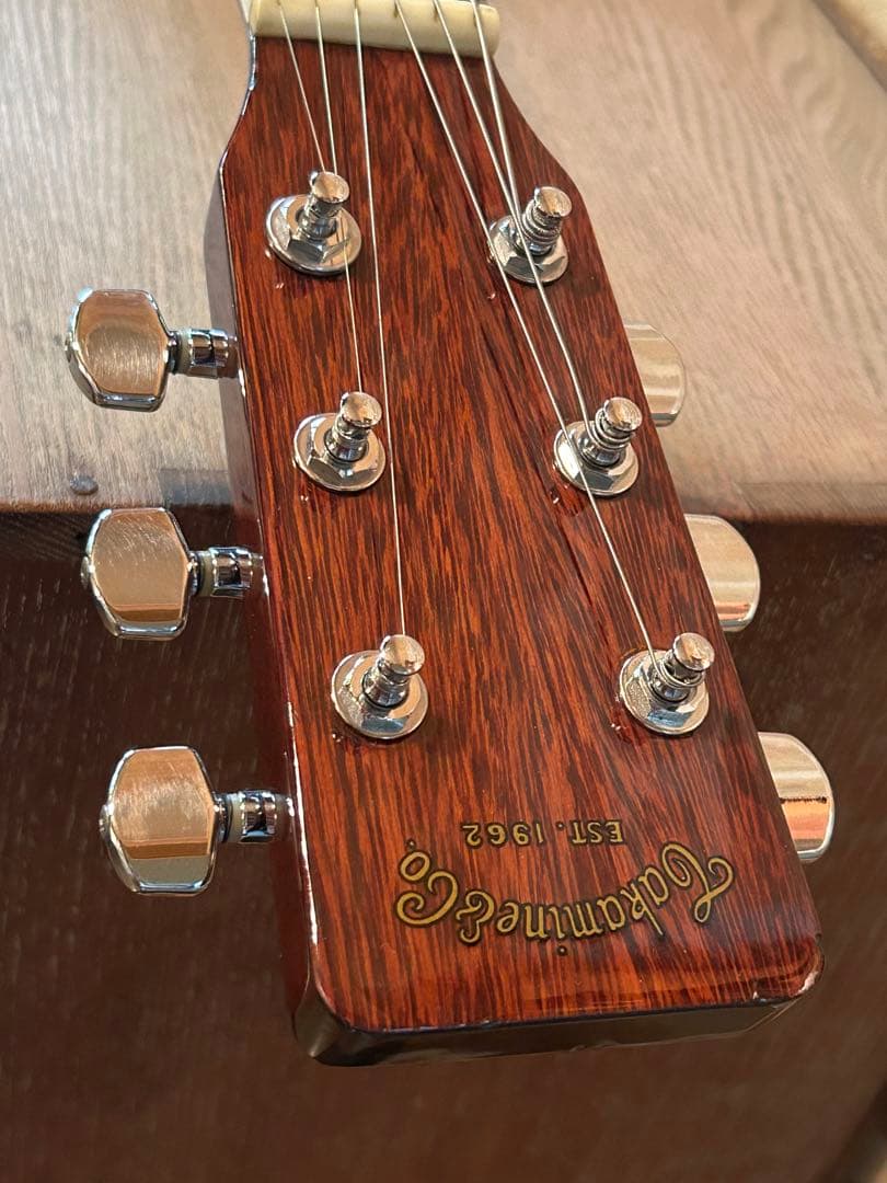 タカミネTD-27(豆しばバージョン) 豆しば