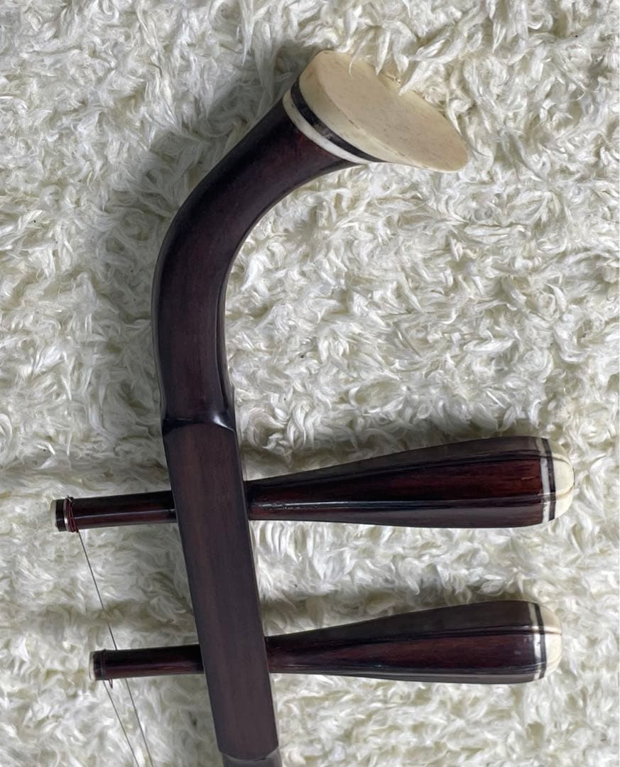 中国 弦楽器 二胡　林生　ハードケース付き