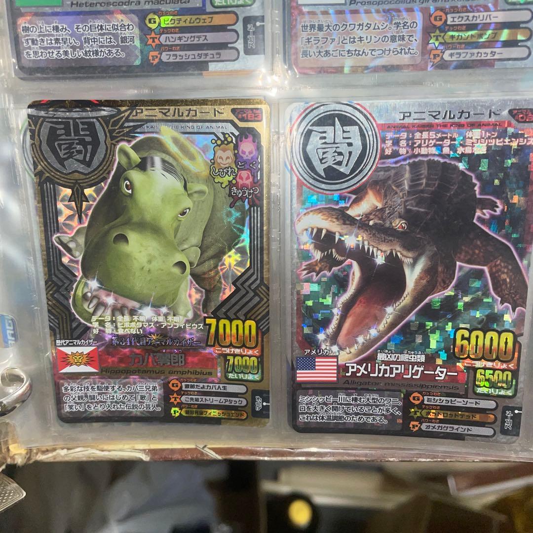 アニマルカイザー　まとめ売り