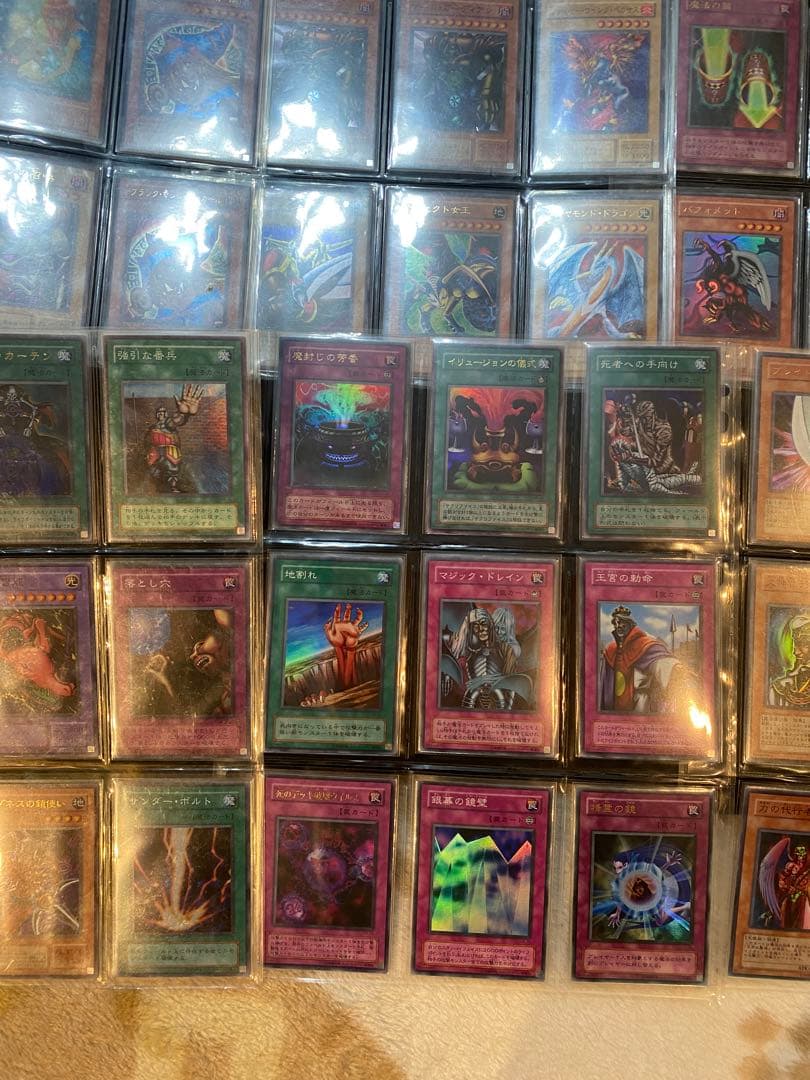 【Show】海馬セット　引退品　シクブル　まとめ売り　ホロガール