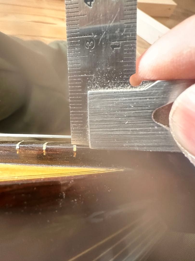 RokutaroNakade中出六太郎No65TokioAno 87マンドリン