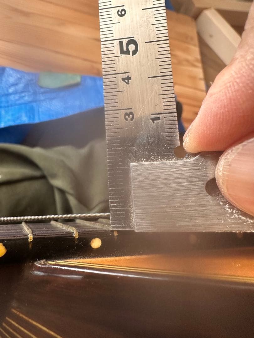 RokutaroNakade中出六太郎No65TokioAno 87マンドリン