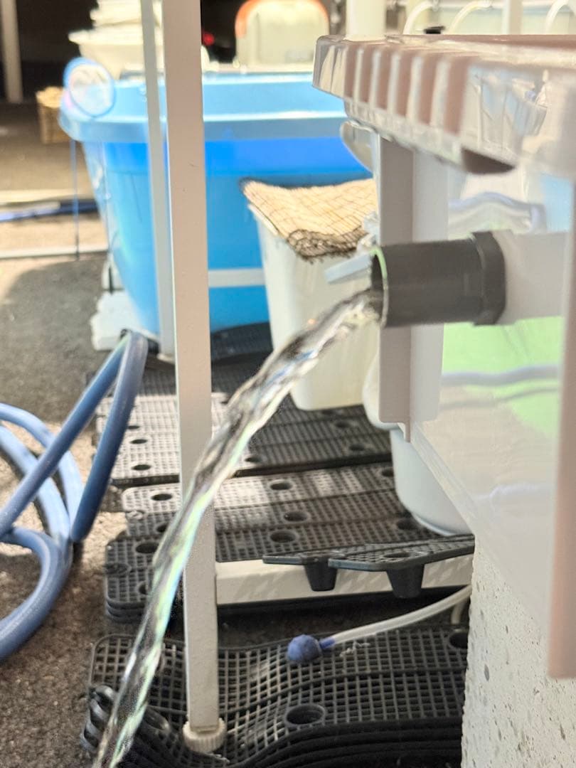 ☆お買い得☆たらい36L(5個)メダカ飼育容器オーバーフロー トロ舟プラ