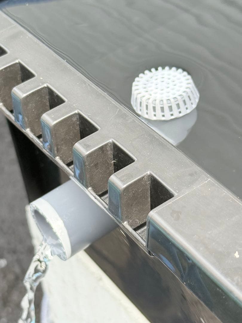 ☆お買い得☆たらい36L(5個)メダカ飼育容器オーバーフロー トロ舟プラ