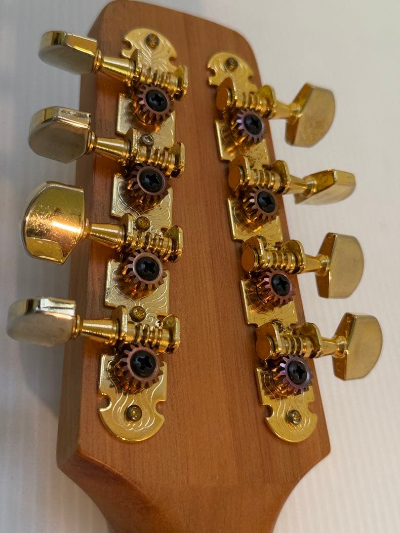 フラットマンドリンBeanBlossom By Morgan Monroe