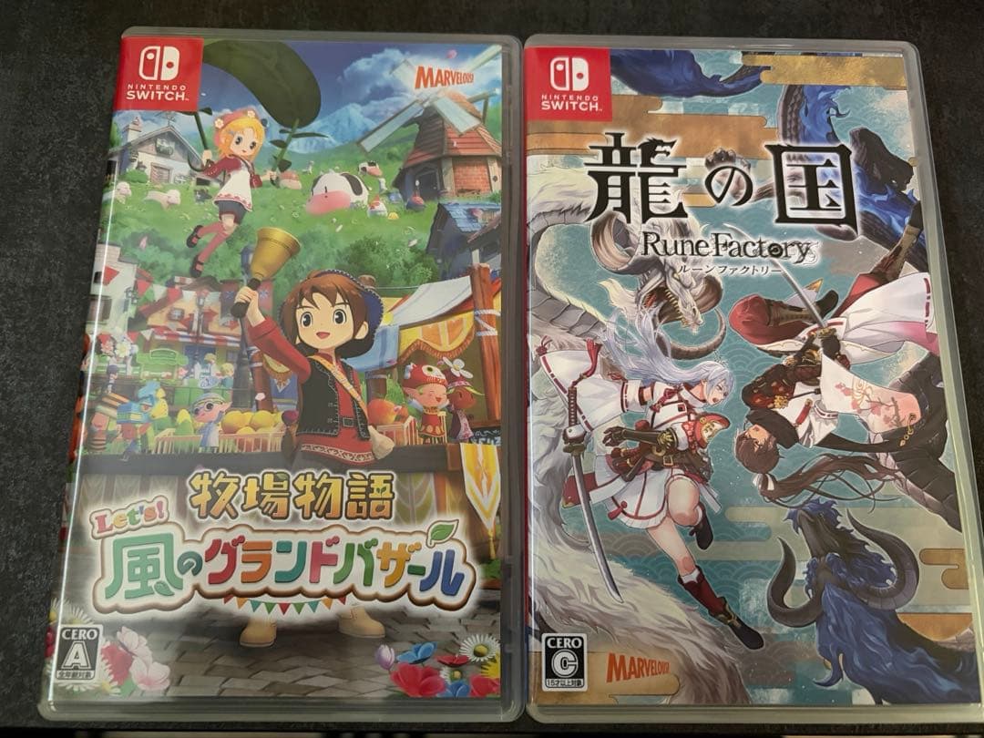 Switch ソフト 2本セット