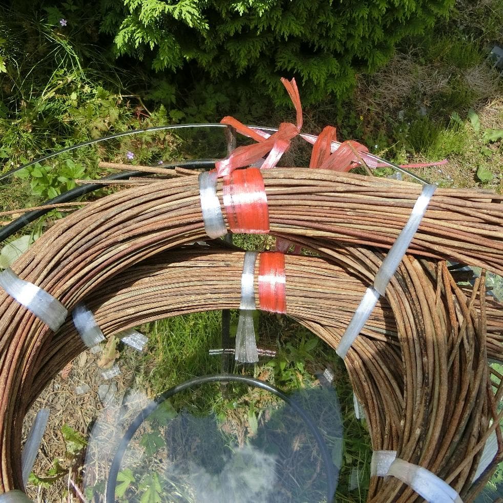 みっくん 青森県岩木山採取　あけび蔓　長 短 各1kg　合計2kg 練習用