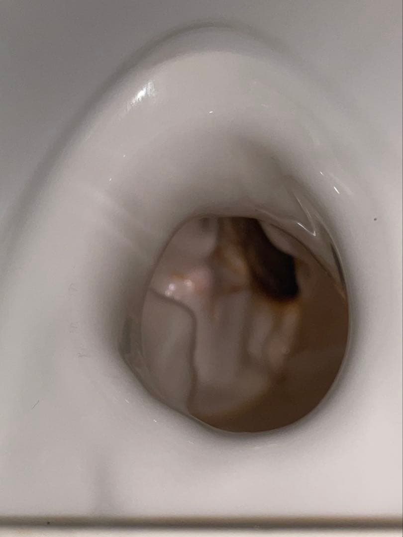 NEIGHBORHOOD ネイバーフッド BOOZE. COLT/CE 青 初期