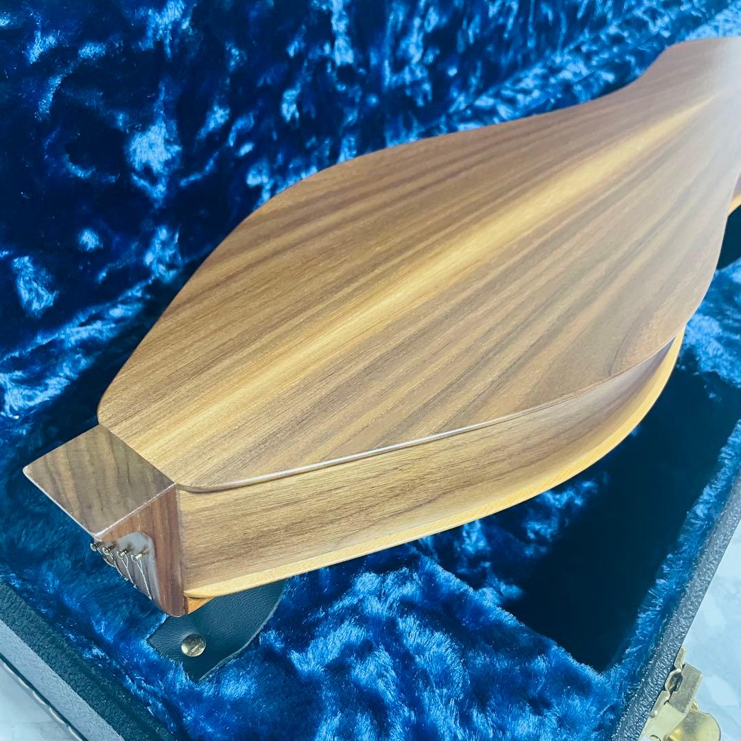 【美品】BLUE LION マウンテンダルシマー　JRW ハードケース付き