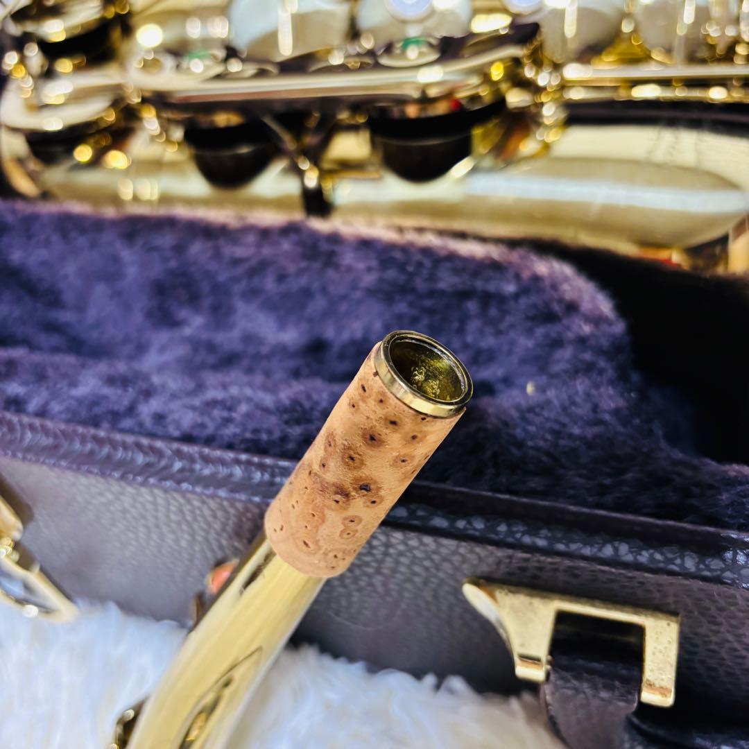 Heinrich ヘインリッチ アルトサックス HAL-75 ハードケース有