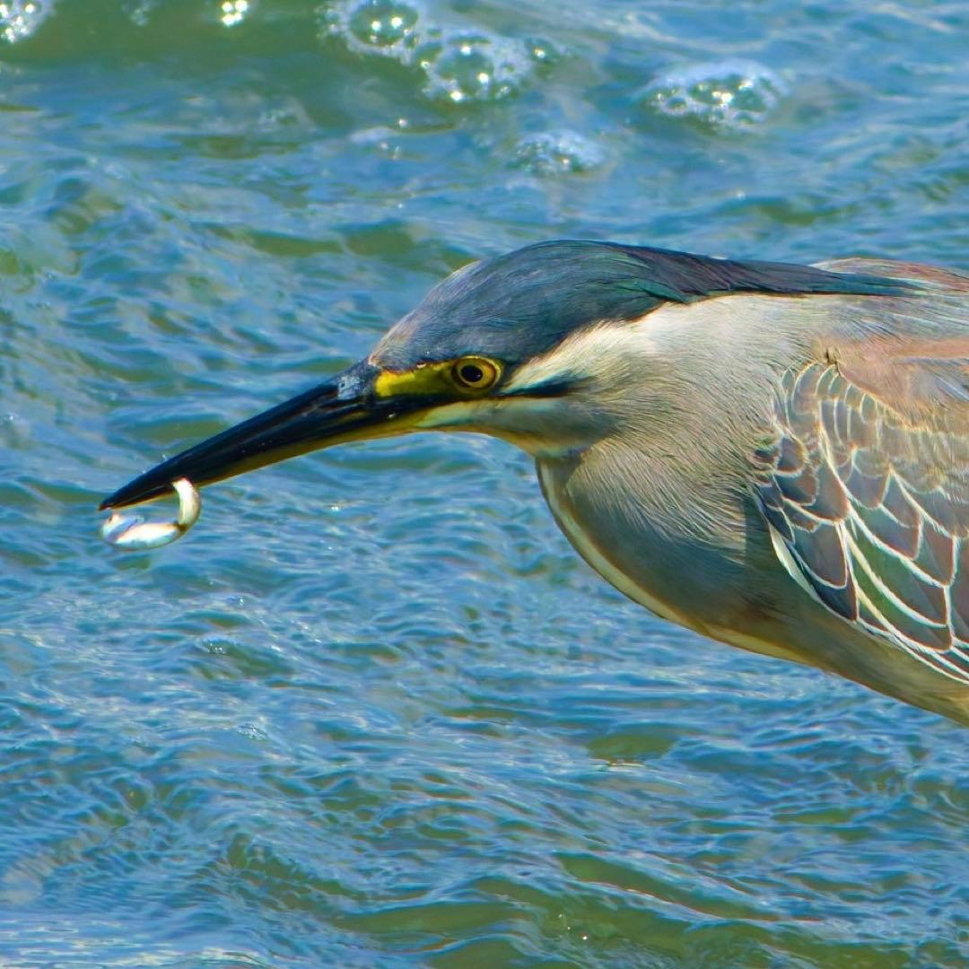 taku】SIGMA 400mm f5.6 APOテレマクロカビ箇所有り taku】SIGMA 400mm