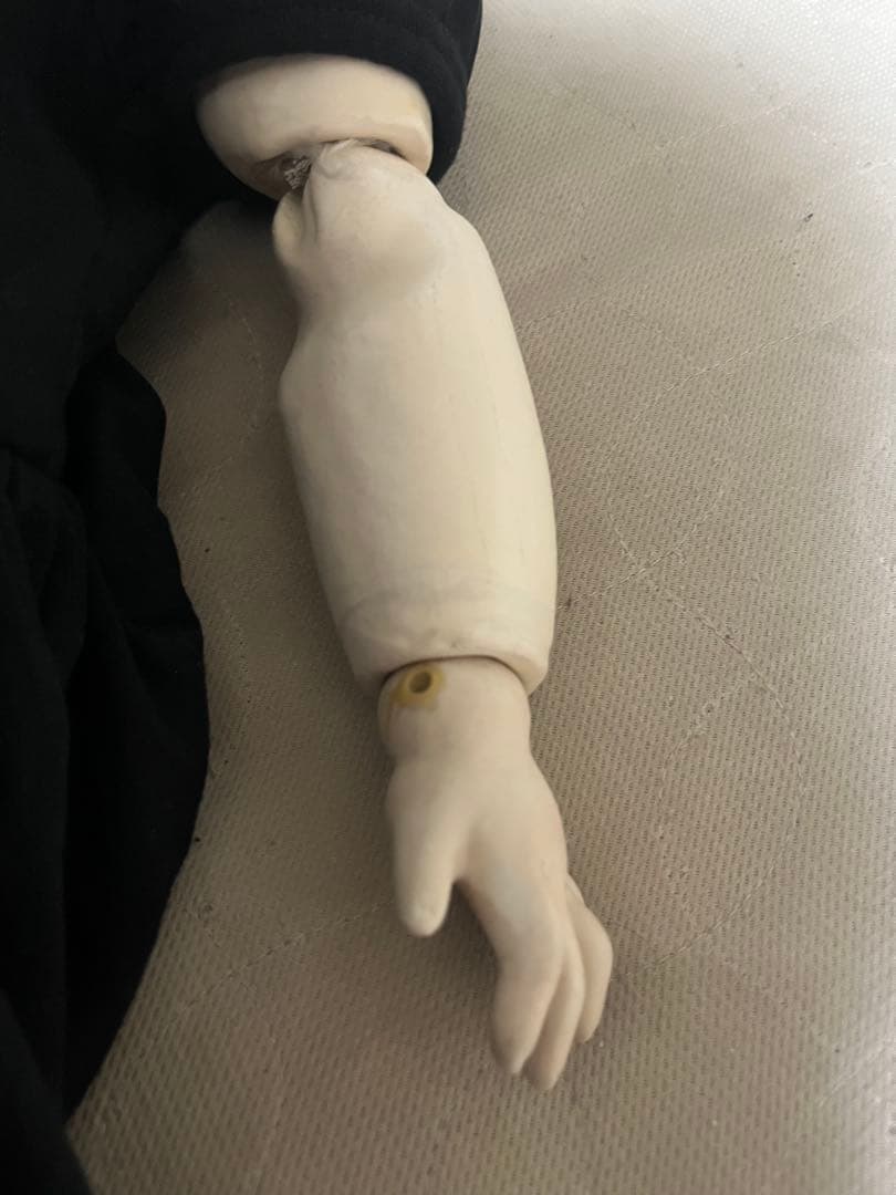 ビスクドール リプロ 大きい子 茶髪