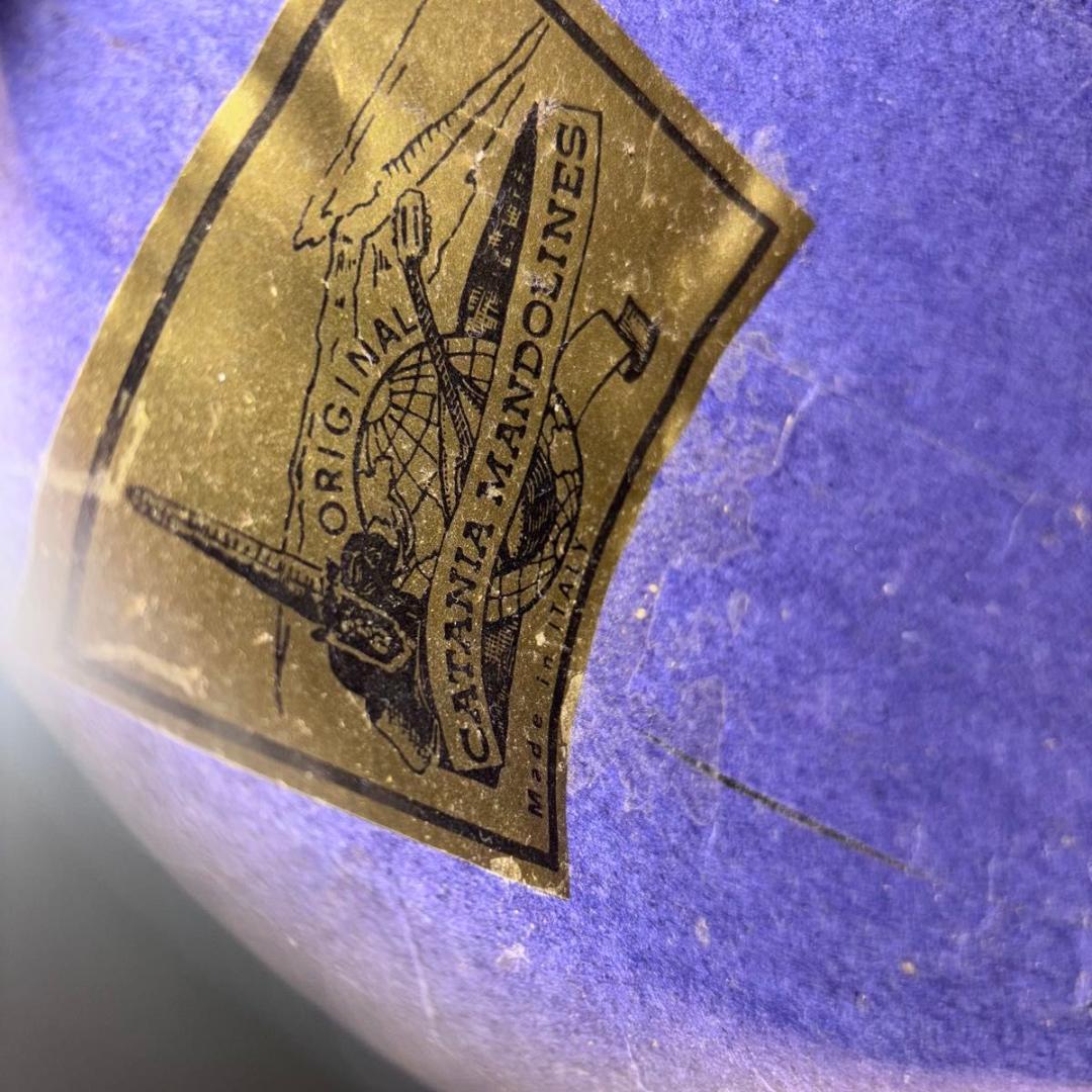 ☆マンドリン カターニア CATANIA イタリア ハードケース