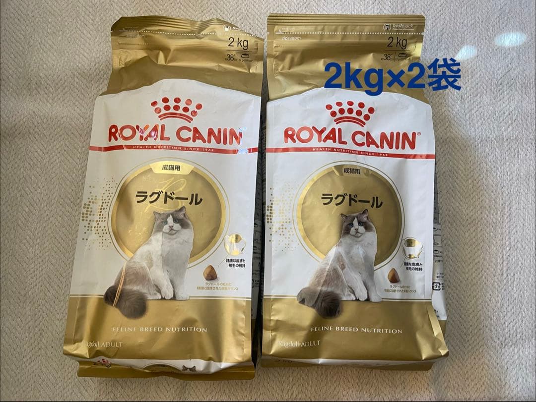 ロイヤルカナン ラグドール 2kg ドライフード×2袋 楽天市場】【6%OFFクーポン対象｜LINE追加で500円OFF！】ロイヤル