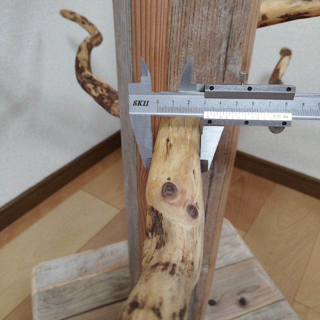 大型鳥用】くねくね螺旋状♬どっしりバードスタンド