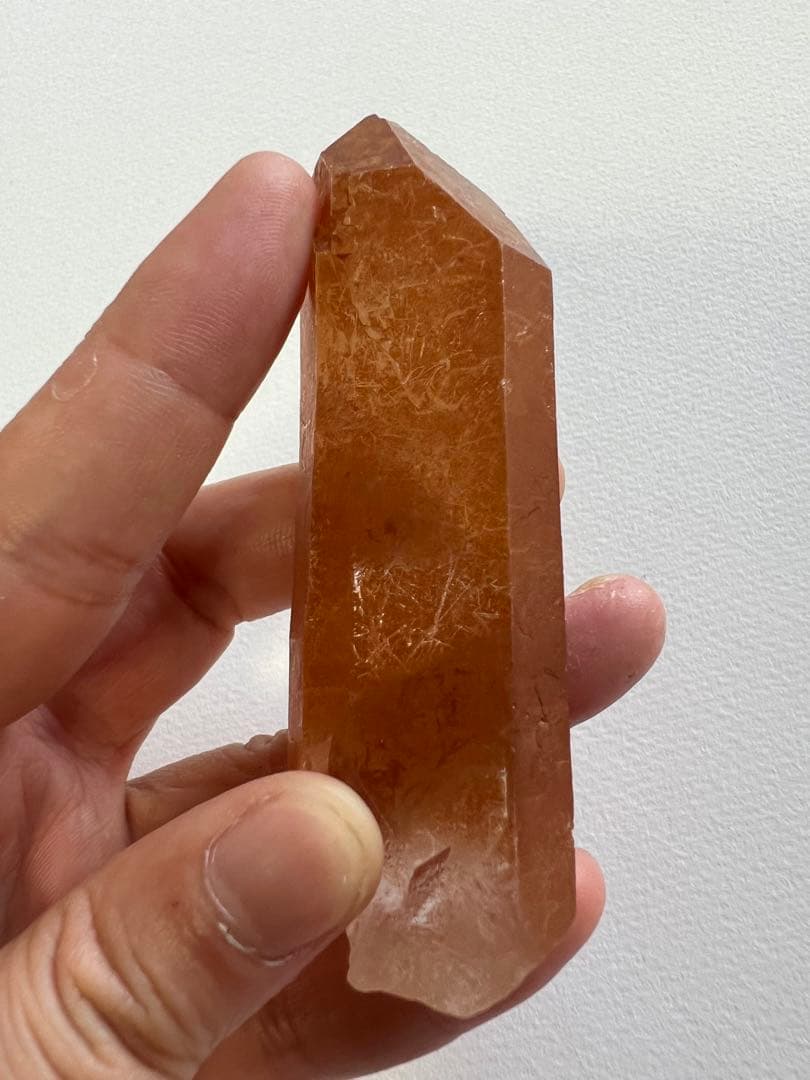 ゴールデンヒーラー(セーラデカブラル産)ゲート／スターゲートキー