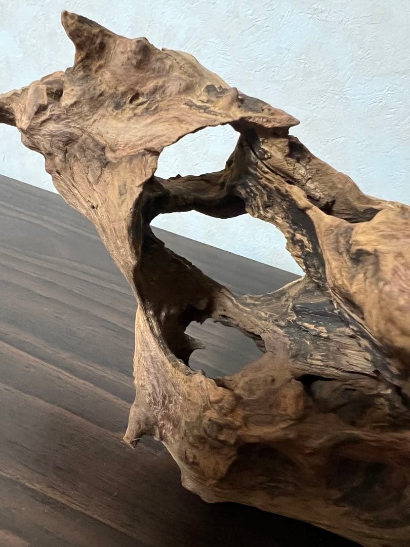 HX-003 流木 ホーンウッド マシンガンウッド アクアリウム ブランチウッド