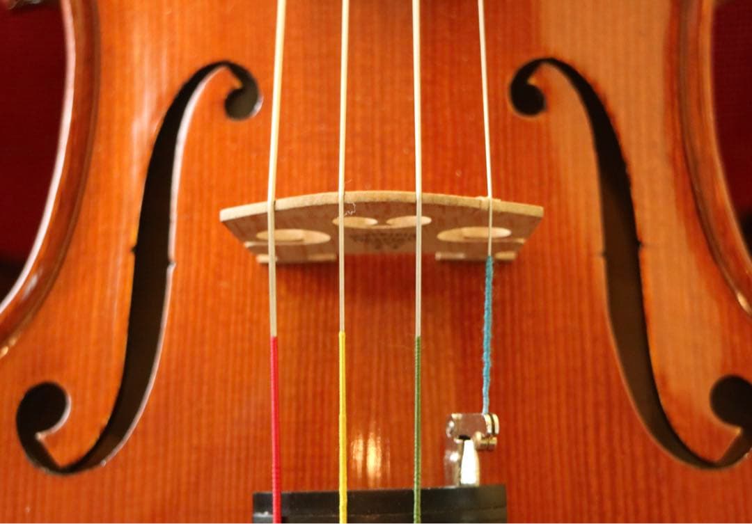 【みみちゃん】ビオラ 15.5 Gliga Gems Anno 2022