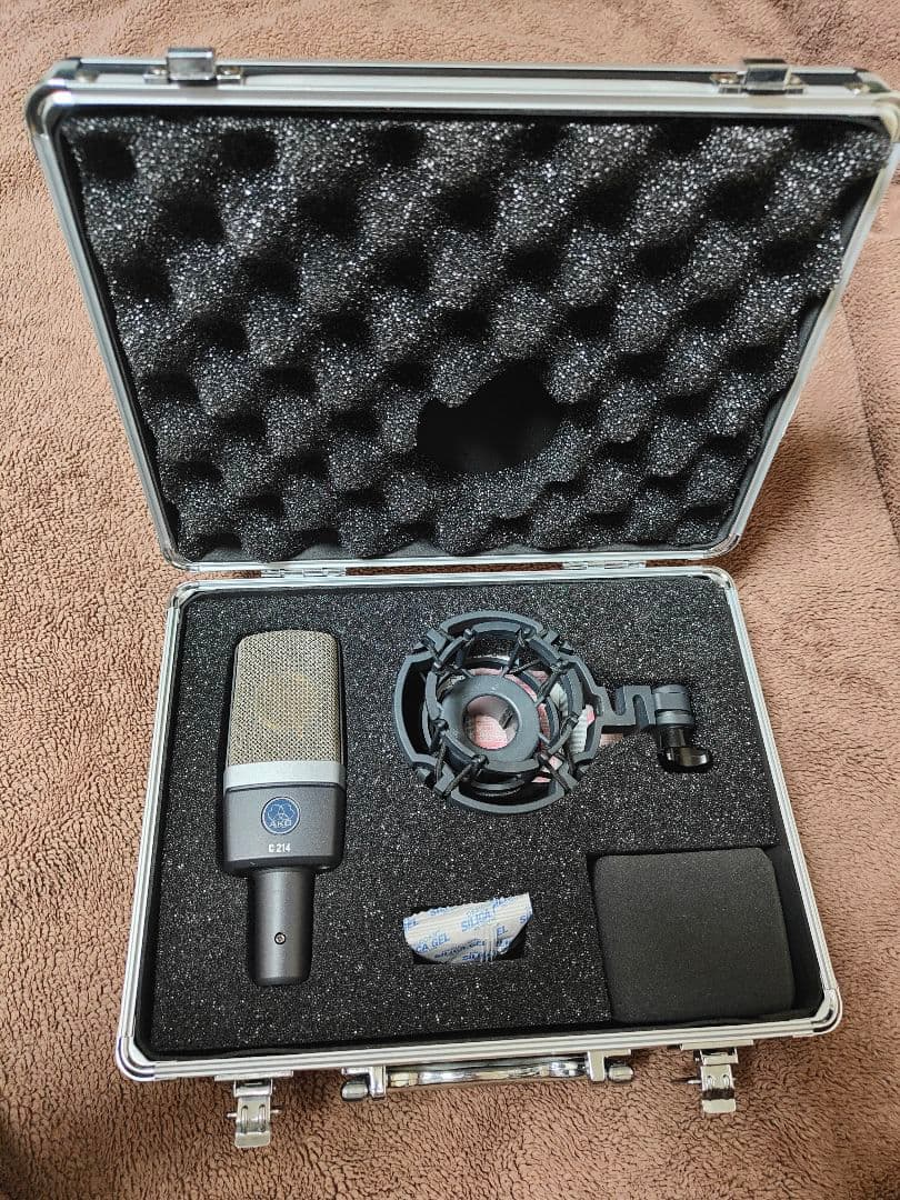 名機 PEARL アナログディレイ AD-32 通電化 動作未確認 ジャンク