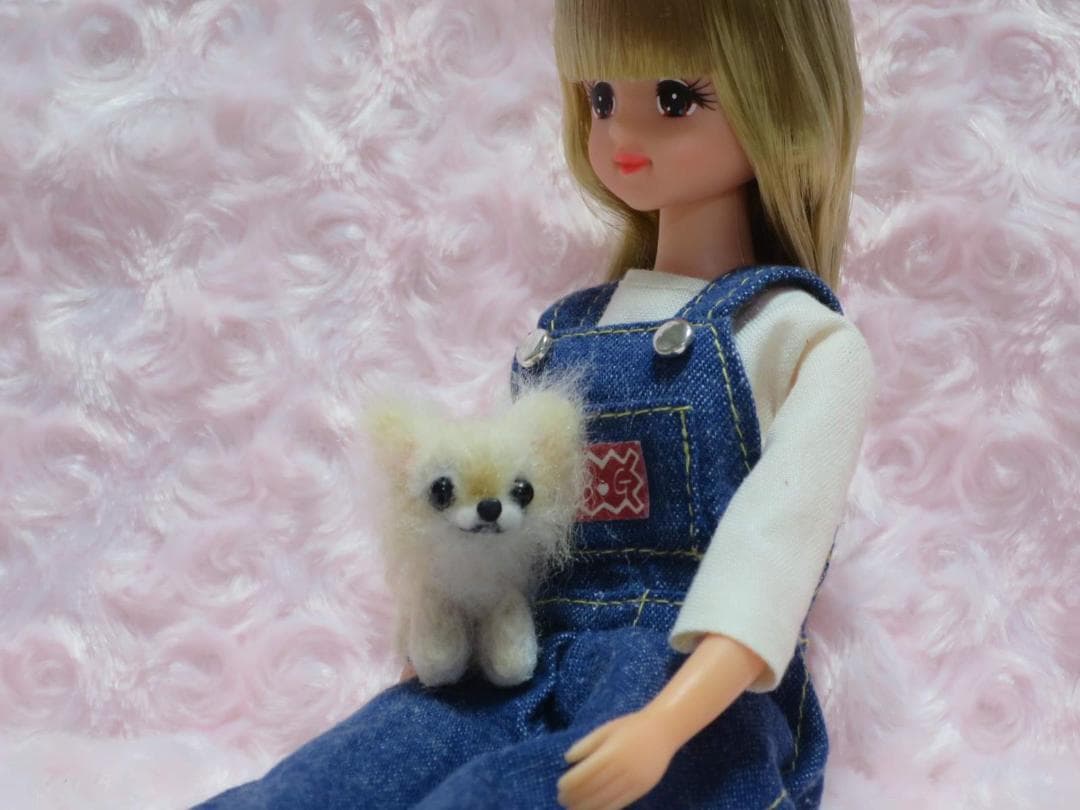 羊毛フェルト 犬 チワワ チョコタン パーティーカラー ミニチュア