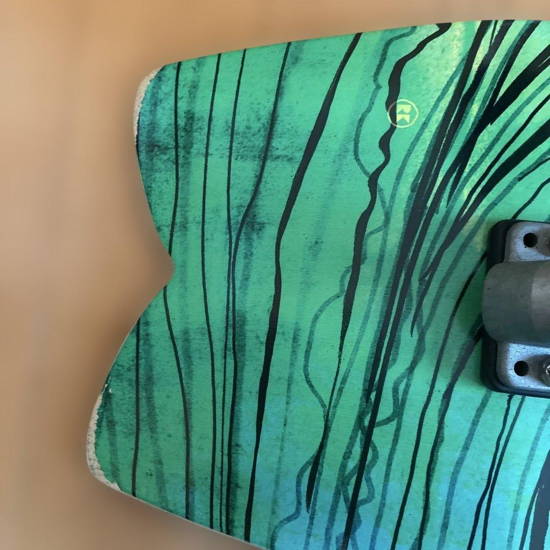 Carver スケートボード 29.0inch CX4 SWALLOW