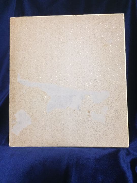 期間限定】忌野清志郎 直筆サイン色紙 RCサクセション RCサクセション