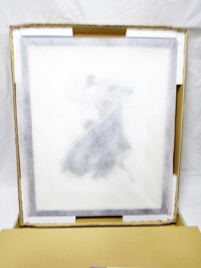 天野喜孝 #オーダー原画 #吸血鬼ハンターD #共箱 #アールビバン保証書