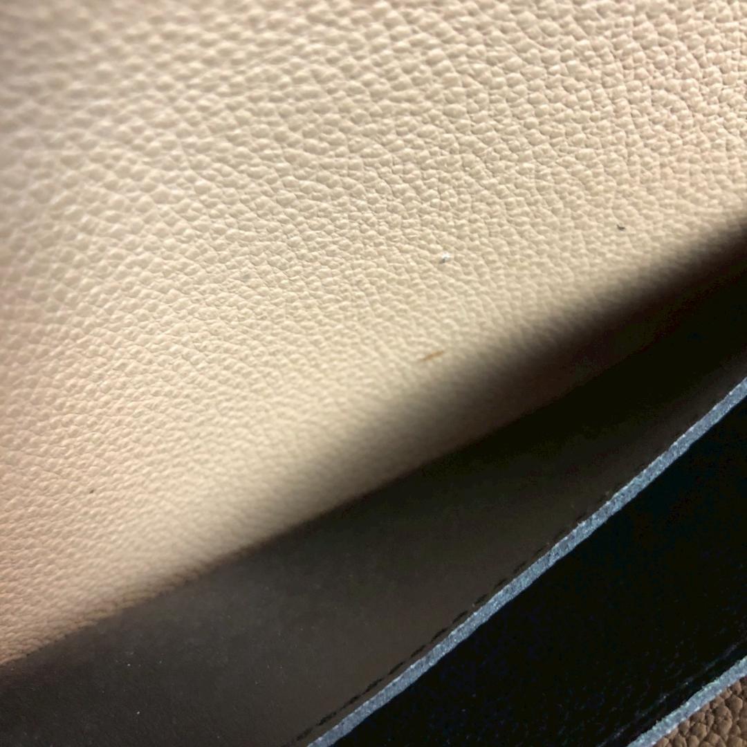 LOUIS VUITTON ルイヴィトン ポルトフォイユエミリー アンプラント