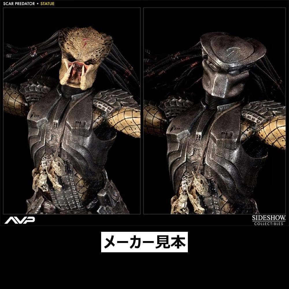 サイドショウ限定版！エイリアンvs.プレデター【スカー・プレデター】スタチュー