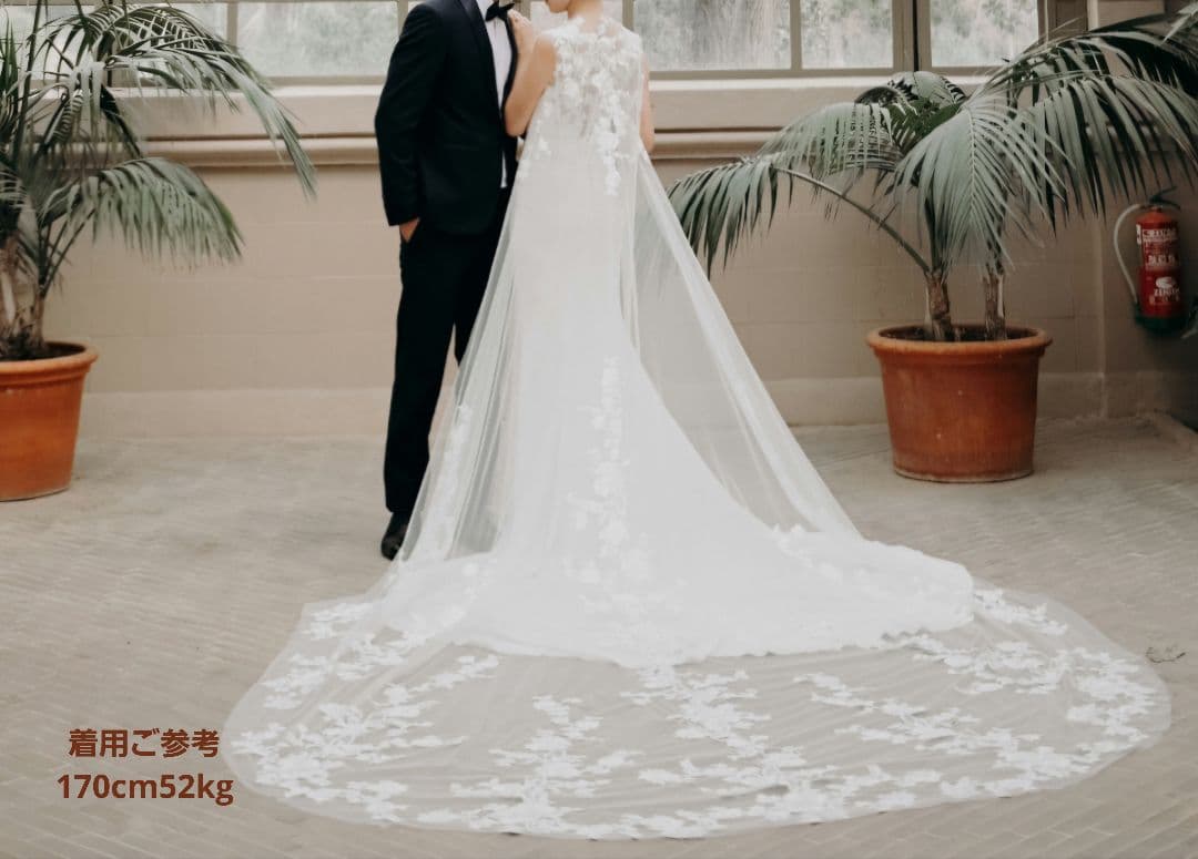 PRONOVIAS ✾ DRAIL 7-9号 マント有
