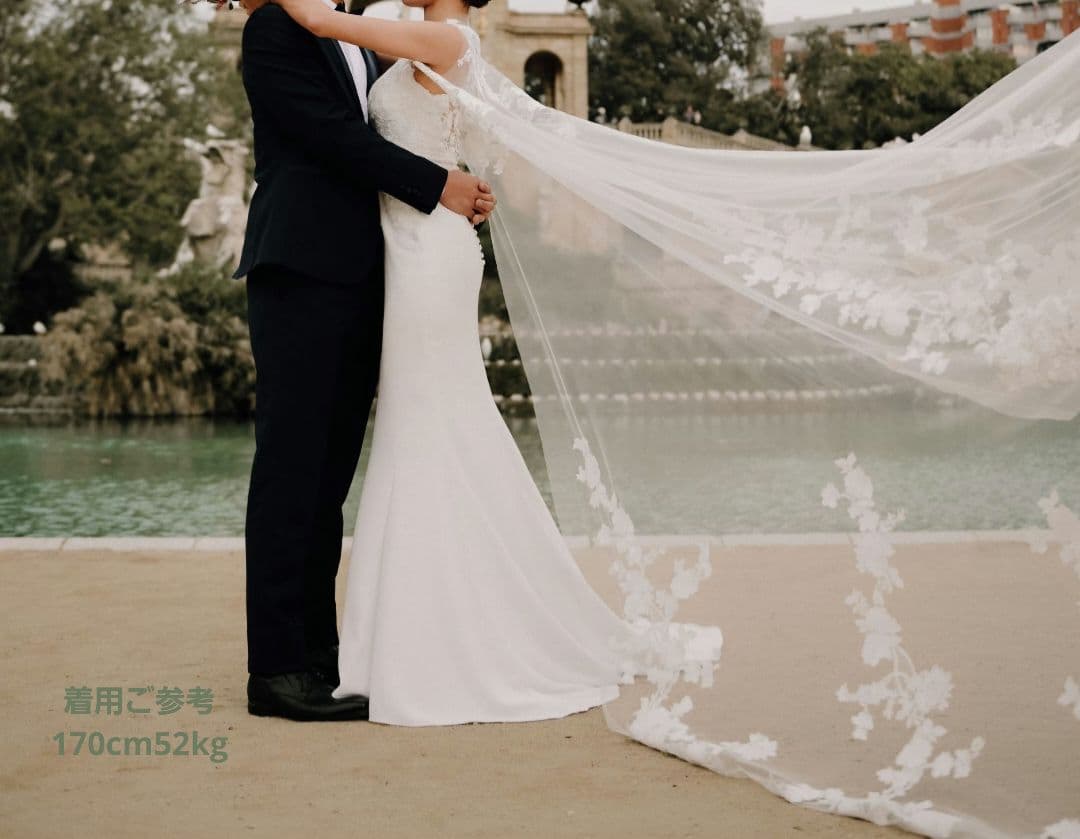 PRONOVIAS ✾ DRAIL 7-9号 マント有