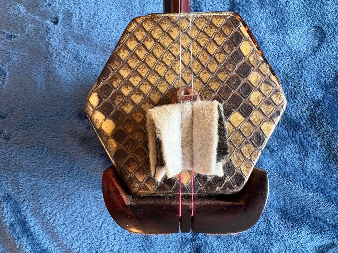 二胡 ハードケース 換えの弓毛付き