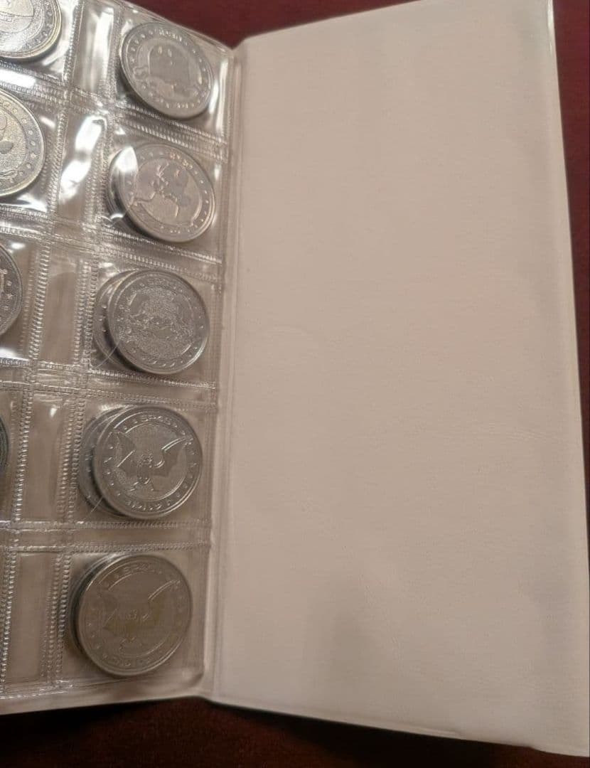 ポケモン メタル＆ ポケットフォルダー