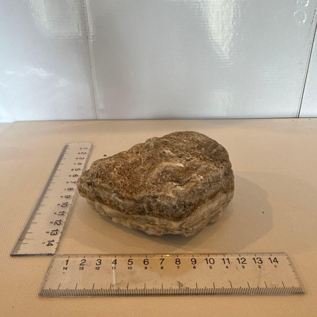 北海道石 然別オパール 蛍光オパール約543g - メルカリ