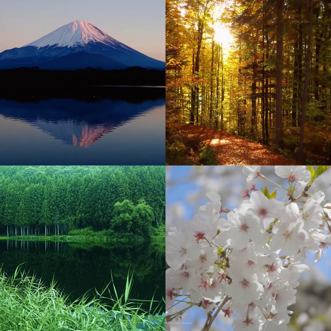 第7世代DynabookT85/CG i7-7500U SSD480G M8G - メルカリ