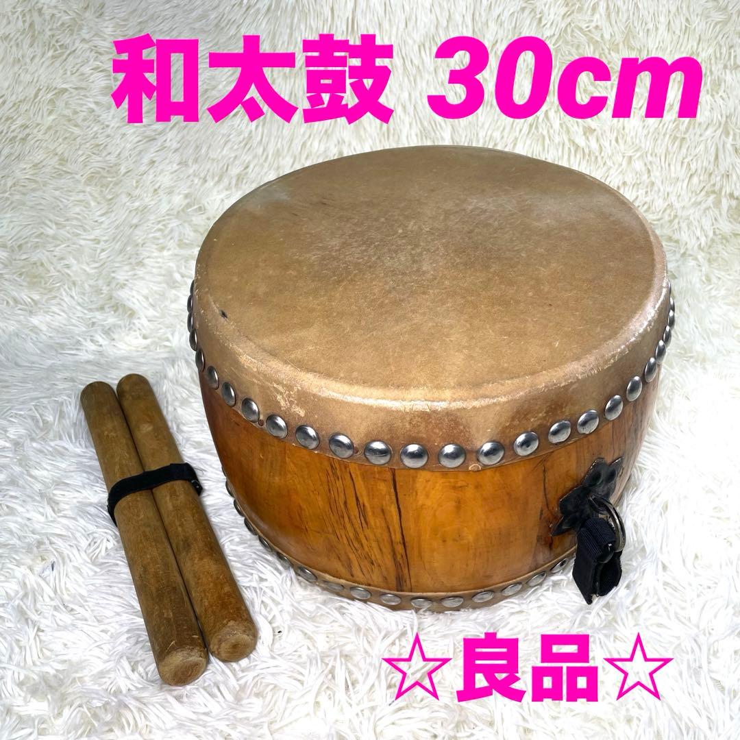 HAPI Drum E Minor 専用ケース・マレット付き