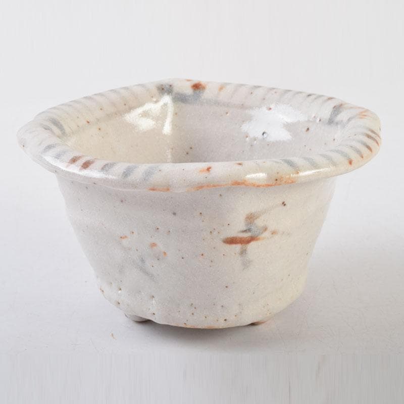 和食器 茶懐石 志野焼 加藤十右衛門 向付 五客 共箱 C 9015 - メルカリ