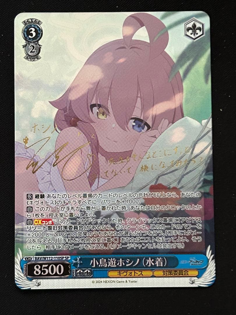 ヴァイス ブルーアーカイブ小鳥遊ホシノsp