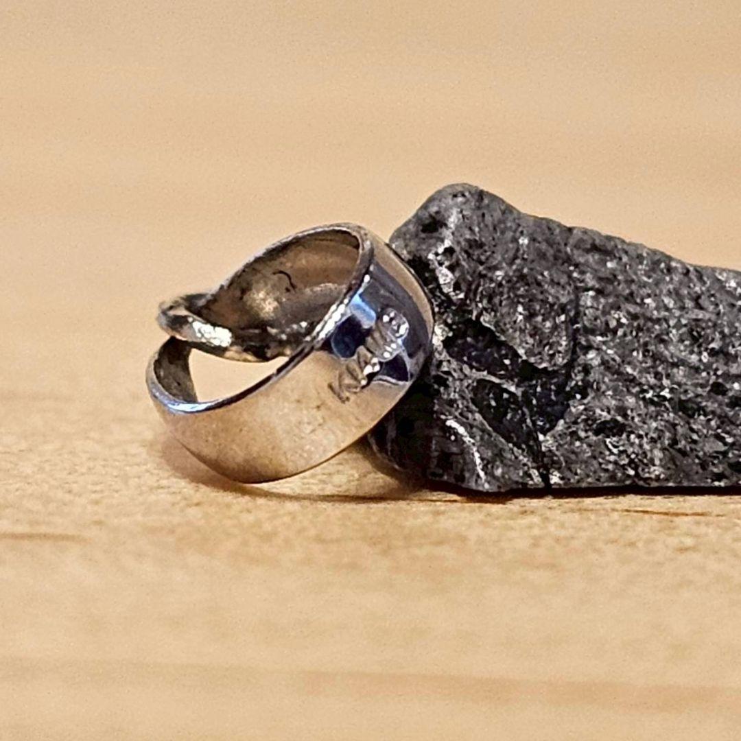 アキムネ様専用】ギベオン隕石 ペンダントトップのみ【鑑別書付