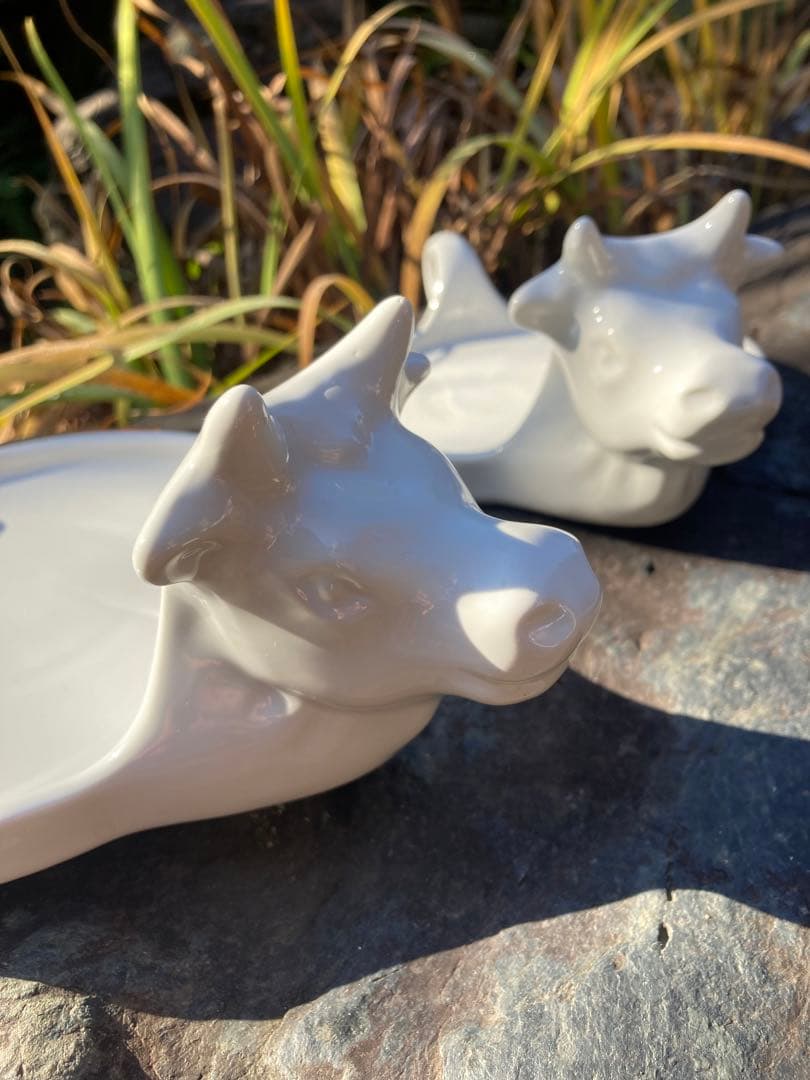 ヨーロッパ製 牛のチーズ皿 白磁 陶器皿La Porcellana Bianca イタリア